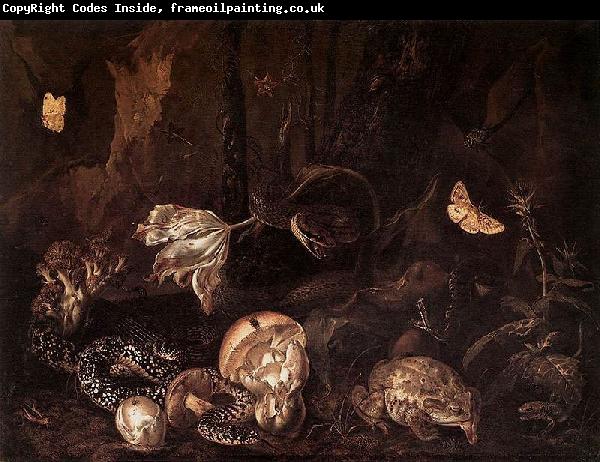 Otto Marseus van Schrieck Still life with Insects and Amphibians